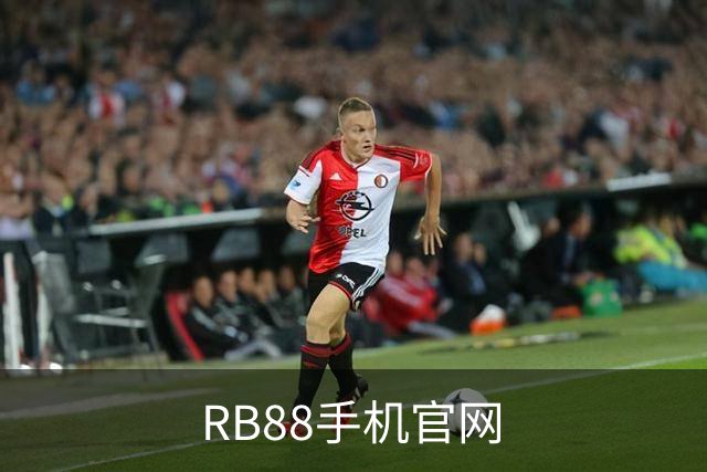 RB88手机官网公司简介展示图